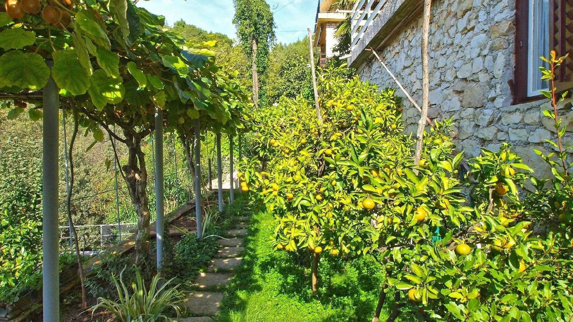 Ferienwohnung Fuer 3 Personen Ca 20 Qm In Rabac, Istrien Bucht Von Rabac Croatia